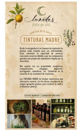 Lunadas Mother Tincture - Centella Asiatica 60cc 1