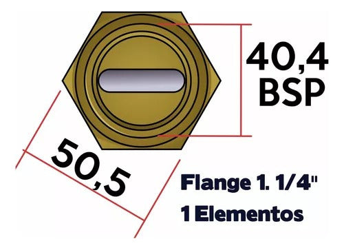 Kit 8 Resistências Flange Rosca 1.1/4 2kw 3kw 220v 1u 300mm 1