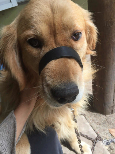 JMcC Adjustable Muzzle for Large Breeds 100% Leather 100% Effective 2