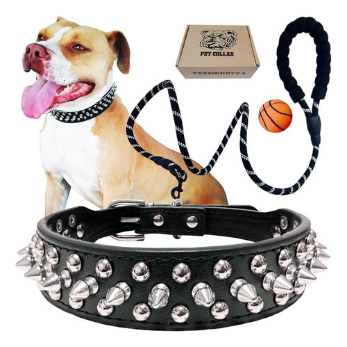 Teemerryca 3 Pack Correa Y Collar Para Perros Juego De Bola 0