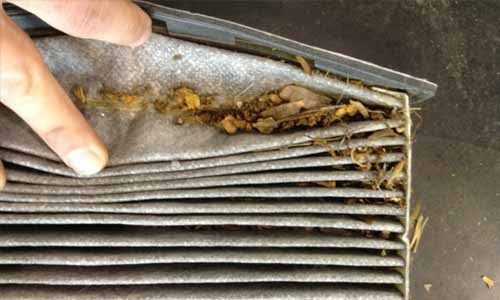 Cabin Filter for Peugeot 208 1.5 Tu4 90hp Since 2013 4