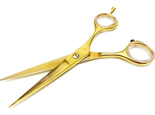 Professional Hairdressing Scissors 5.5'' Titanium Gold Sensei 0