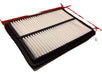 Filtro Aire Zx Auto Grand Tiger 06-10 0