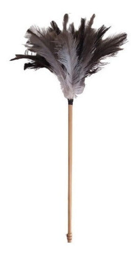 Romyl Medium Natural Ñandu Feather Duster N°30 0