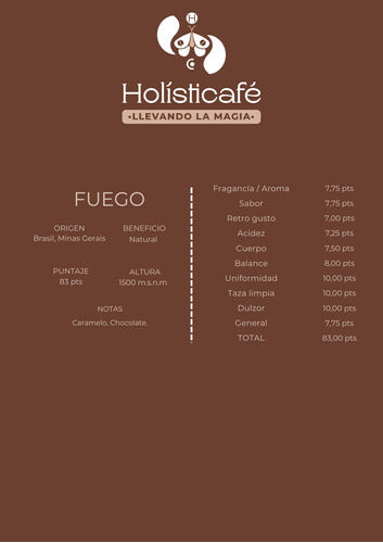 Holisticafe Cafe De Especialidad En Grano O Molido 500g 1