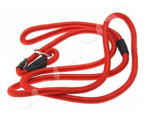 Nylon Red Dog Leash - Slip Cord Walking Lead 1