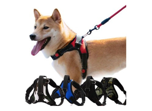 Padded Dog Harness Chest Plate XS to XL 2