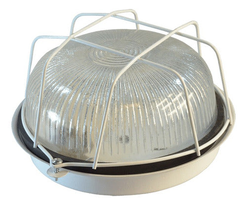 Lumipack Metal Turtle Light with Round and Oval Grid 1