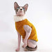 Kitipcoo Sphynx Cat Winter Sweater Outfit 1