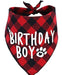 Jpb Birthday Dog Bandana 0