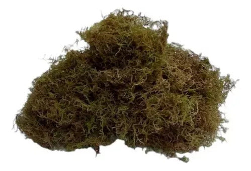 Musgo Para Kokedama X 15 Lts Tutor Bonsai Acodo Suelo Deco 2