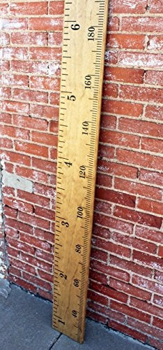 Little Acorns Vinyl Wall Growth Chart Ruler 3