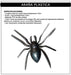 Giant Spider Web Kit 7x5m with Deco Spiders for Halloween Home Decor 5