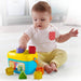 Brinquedo Infantil Balde Primeiros Blocos Fisherprice Fgp10 3