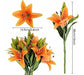 RERXN Realistic Orange Latex Artificial Lilium Flowers X5 1