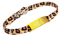 Golden Cat Tag + 1cm Animal Print Collar Set 2