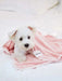 Lovely Pets Blanket 4