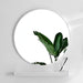 Round 80 cm Mirror with PVC Frame 14