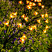 Patiopia Solar Garden Lights, Bee Shape Garden Lights 0