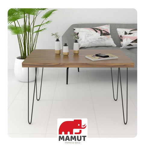 Mamut Hairpin Legs X 2 Iron 50cm Free Shipping 5