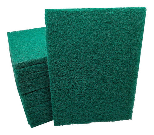 Pro-FLEX Abrasive Green Sponge 16x22cm - Pack of 12 0