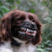 Exkarg Scary Dog Muzzle - A Pedido 2