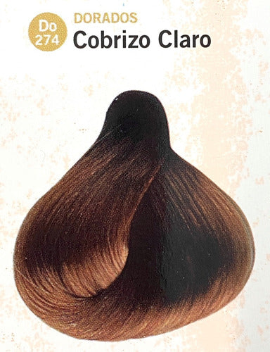 Hair Dye Sachet + Emulsion - Katalia 25