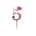 Big Globos Topper Cake Decoration Numbers Rose Gold 11cm 6