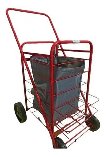 Canadian Style Shopping Cart 4-Wheel Trolley from Argentina 16