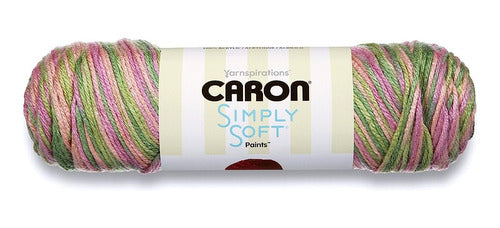 Caron Simply Soft Paints Hilo (4) Calibre Medio 100% Acrílic 0