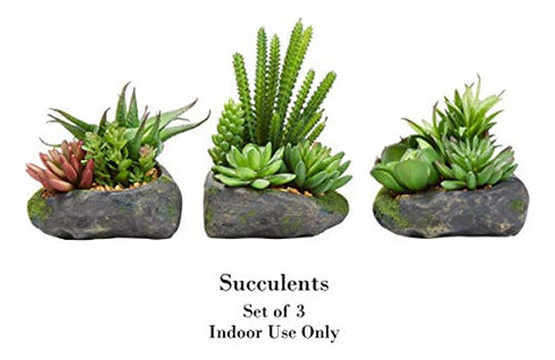 Pure Garden Artificial Succulent Plant Arrangements for Garden - Set of 3 1