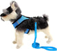 Padded Harness with Leash for Dogs and Cats by Cantares Productos 3
