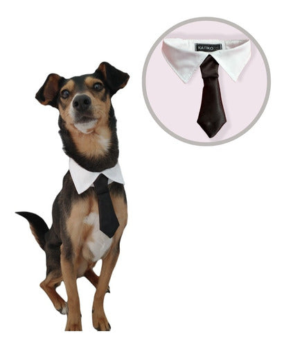 Katiko Pets Adjustable Solid Tie for Dogs - Pet Accessories 1