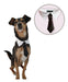 Katiko Pets Adjustable Solid Tie for Dogs - Pet Accessories 1