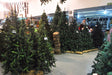 Gold Wire Christmas Tree 60 cm #30742 - Sheshu 2