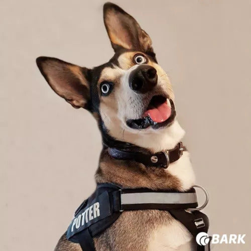 Bark Large Anti-Pull Dog Harness 5