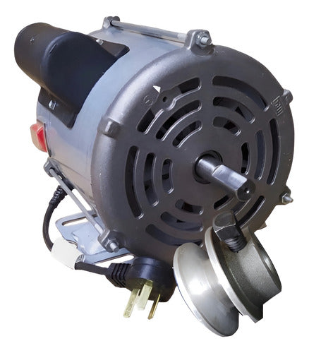 Weg Motor 1 Hp Para Hormigoneras Trompitos Mas Polea 0