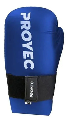 Proyec Hand Pads Taekwondo Kickboxing Gloves Protective Velcro Semi Contact Red Blue Black 25
