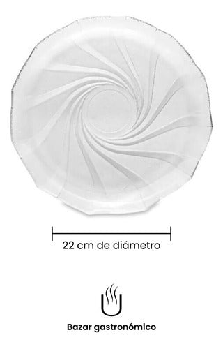 Set of 12 Flat Glass Plates Cosmos Model Durax X12 2
