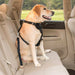 Adjustable Pet Safety Belt 70cm Leash 6