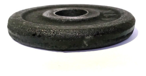 GMP Cast Iron Weight Plates 1 Kg for 30mm Bars 3