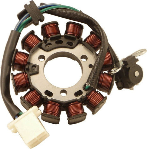 DZE Complete Stator Honda CG Titan 150 Since 2009 DZE 2930 0