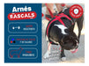 Padded Premium Large Dog Harness Rascals 4