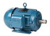 Motor Weg Trifasico 1/2 Hp 1000rpm Ip55  Mo5502 - Ynter 0