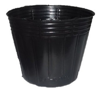 Maceta Pack 100 Disposable Plant Pots for Bushes and Trees 2 L 2