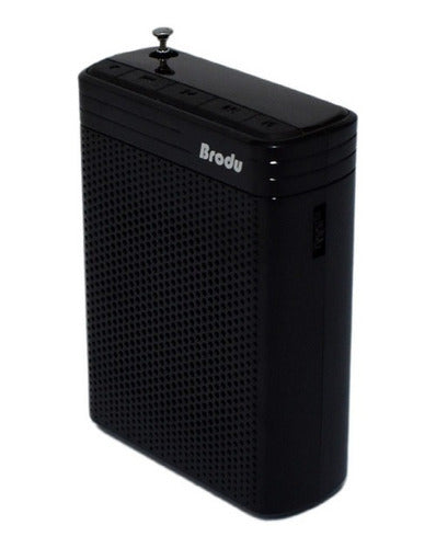 Wireless Headset Microphone Voice Amplifier SD FM Radio BT Speaker 5