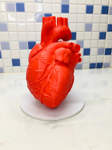 Impresiones.estilo3D Anatomical Heart Model - Real Scale 3D Print 0