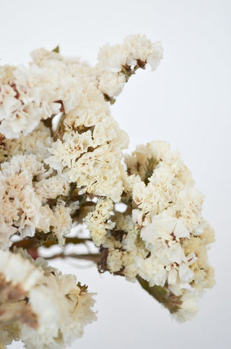 Dried White Statice Flower Bouquet 1