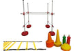 SC Adjustable Quadrilateral + Cones + Ladder + Sport Bottles 0