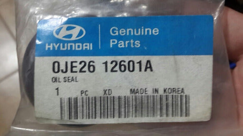 Hyundai Reten De Leva For Terracan 2001 To 2006 1